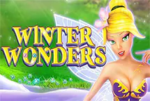Winter Wonders